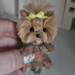 Йорки , бивер йорки и мальтезе для куколок
