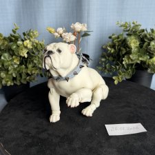 Шарнирная (BJD) собака. Английский бульдог 1:3
