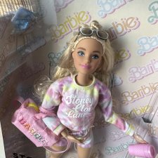 Кукла Barbie Stoney Clover Lane