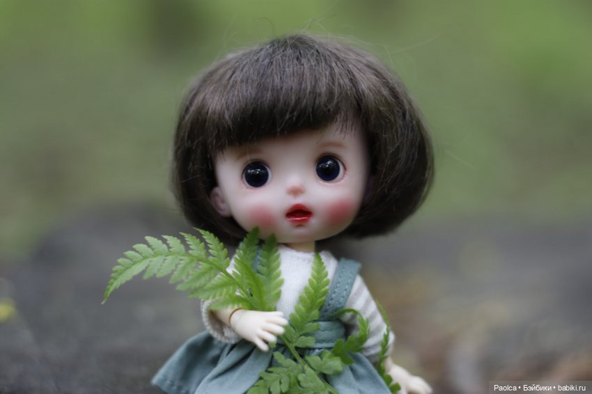 Обитсу11 obitsy11 Fdoll — Куклы и тела Obitsu 11 (Ob11): гибриды (фото 5)