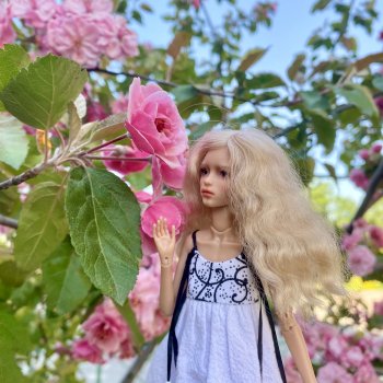 Покупки с Доллсток для Ажур и Она