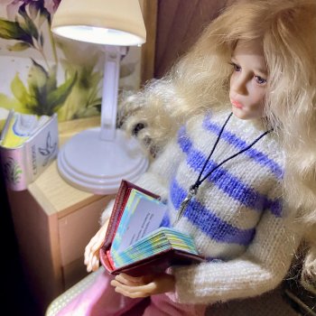 Книжные покупки с Искусство куклы