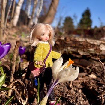 На поиски первоцветов с эльфочкой (от Инны Павловой)