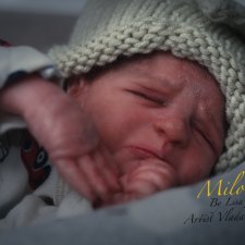 Мило от Lisa Stone