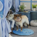 Лайка для Барби собака в смешанной технике формат 1/6