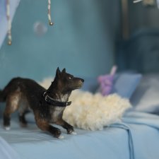 дворняга собака для Барби игрушка в смешанной технике формат 1/6