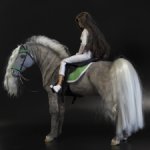 лошадь для Барби, Фьордская серая лошадь подвижная в смешанной технике, конь