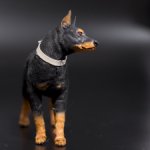 Доберман собака для Барби формат 1/6 в смешанной технике