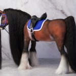 лошадь для Барби, подвижная в смешанной технике, конь формат 1/6