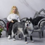 собака для Барби игрушка в смешанной технике формат 1/6