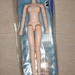 Тело Obitsu 21