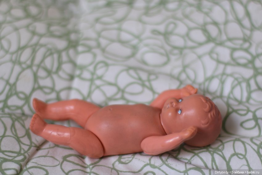 Кого я спасла во время ремонта у мамы (фото 2)