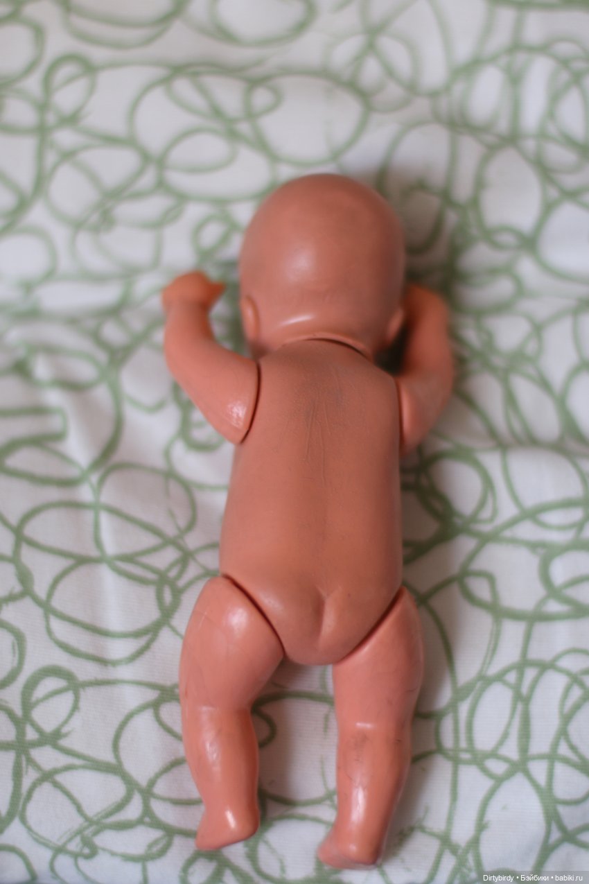 Кого я спасла во время ремонта у мамы (фото 4)