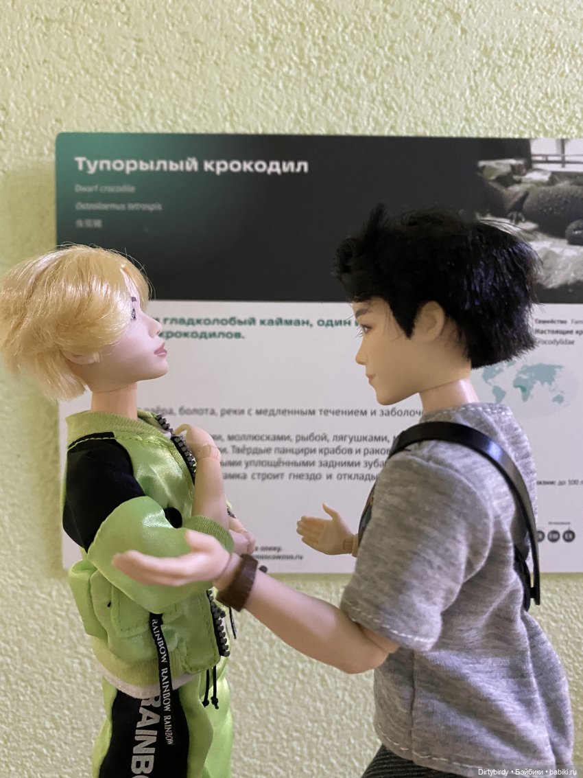 В зоопарке или азиатские львы на прогулке | Бэйбики В зоопарке или азиатские львы на прогулке (фото 6)