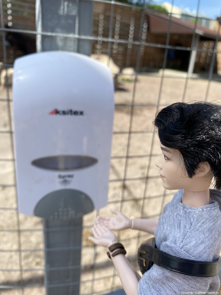 В зоопарке или азиатские львы на прогулке | Бэйбики В зоопарке или азиатские львы на прогулке