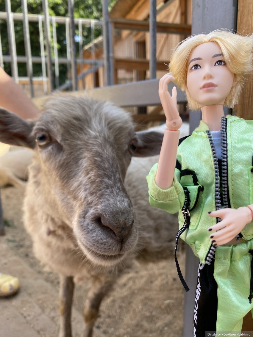 В зоопарке или азиатские львы на прогулке | Бэйбики В зоопарке или азиатские львы на прогулке (фото 8)