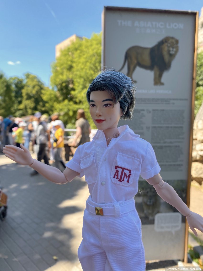 В зоопарке или азиатские львы на прогулке | Бэйбики В зоопарке или азиатские львы на прогулке