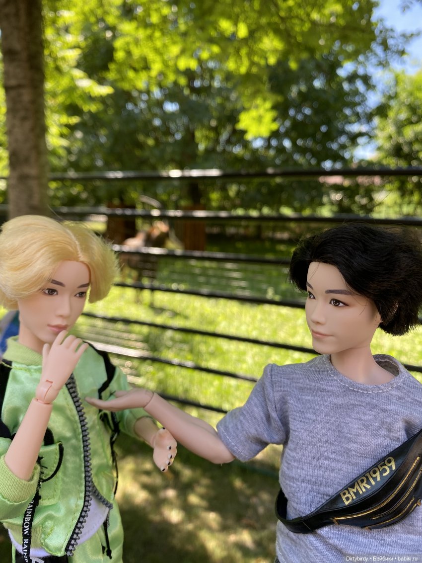 В зоопарке или азиатские львы на прогулке | Бэйбики В зоопарке или азиатские львы на прогулке