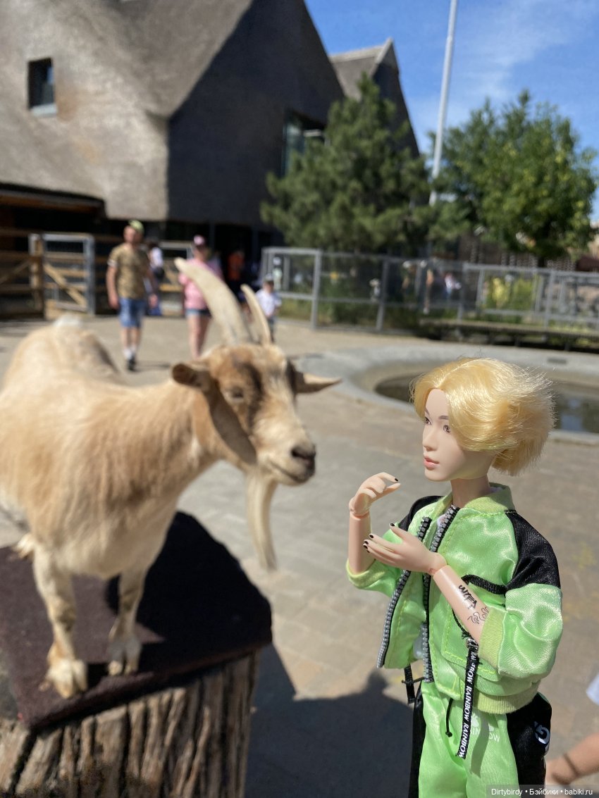 В зоопарке или азиатские львы на прогулке | Бэйбики В зоопарке или азиатские львы на прогулке (фото 9)