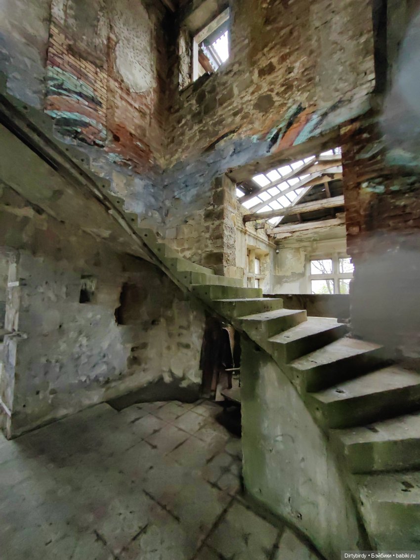 Придурки и Сочинская заброшка (фото 4)