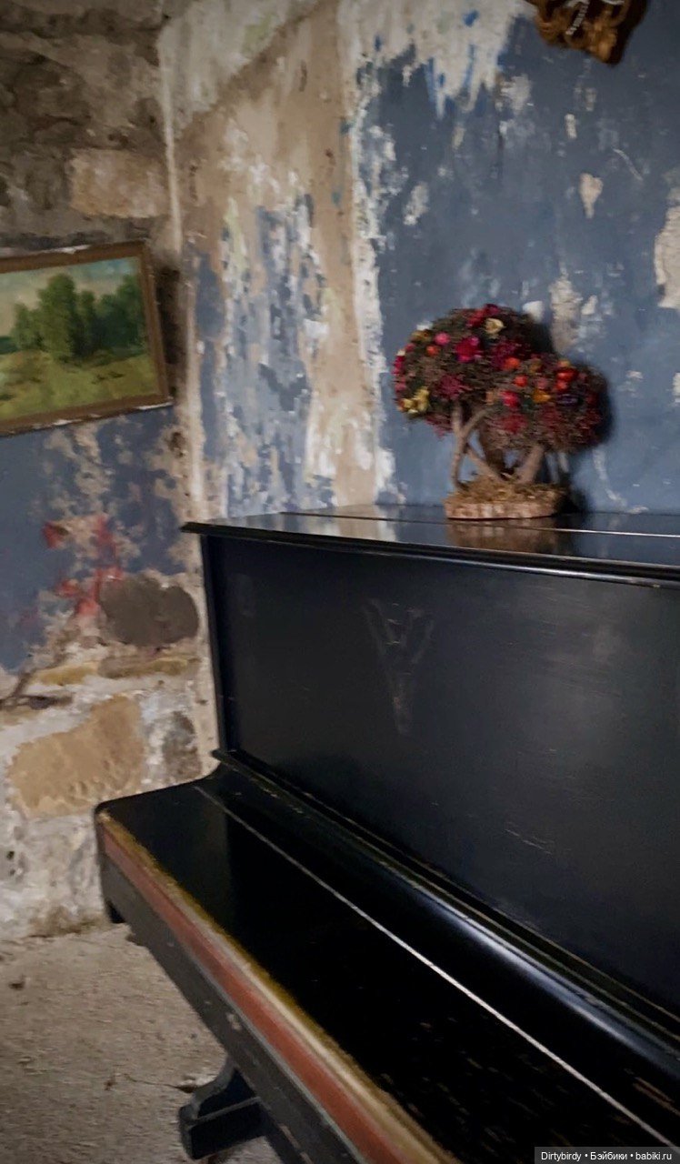 Придурки и Сочинская заброшка