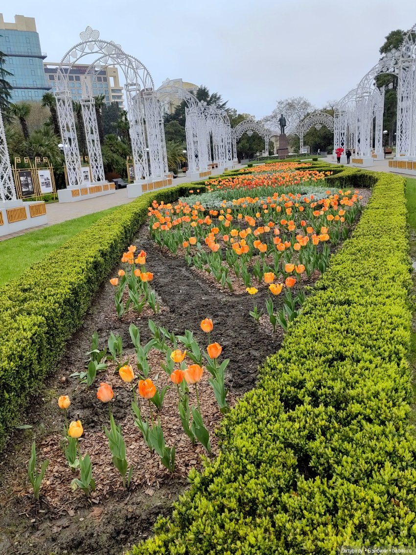 Я поведу тебя в музей — Гибриды шарнирных кукол (не БЖД): подбор тела (фото 2)