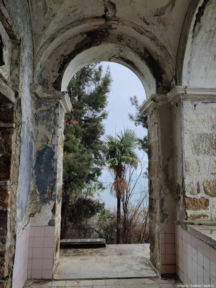 Придурки и Сочинская заброшка (фото 10)