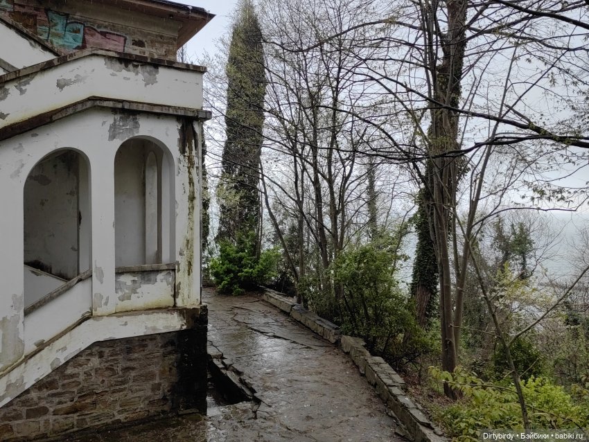 Придурки и Сочинская заброшка (фото 3)