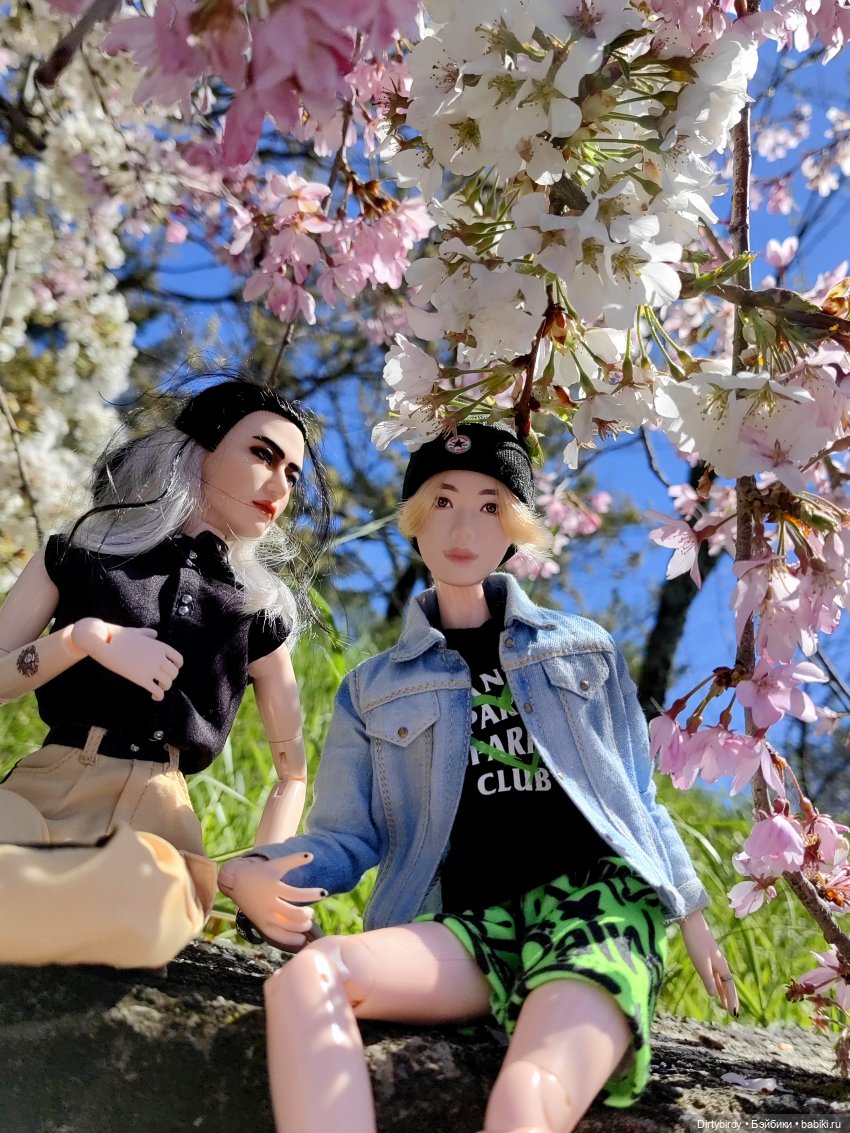 Два кипариса. Или придурки в Сочинском дендрарии (фото 5)