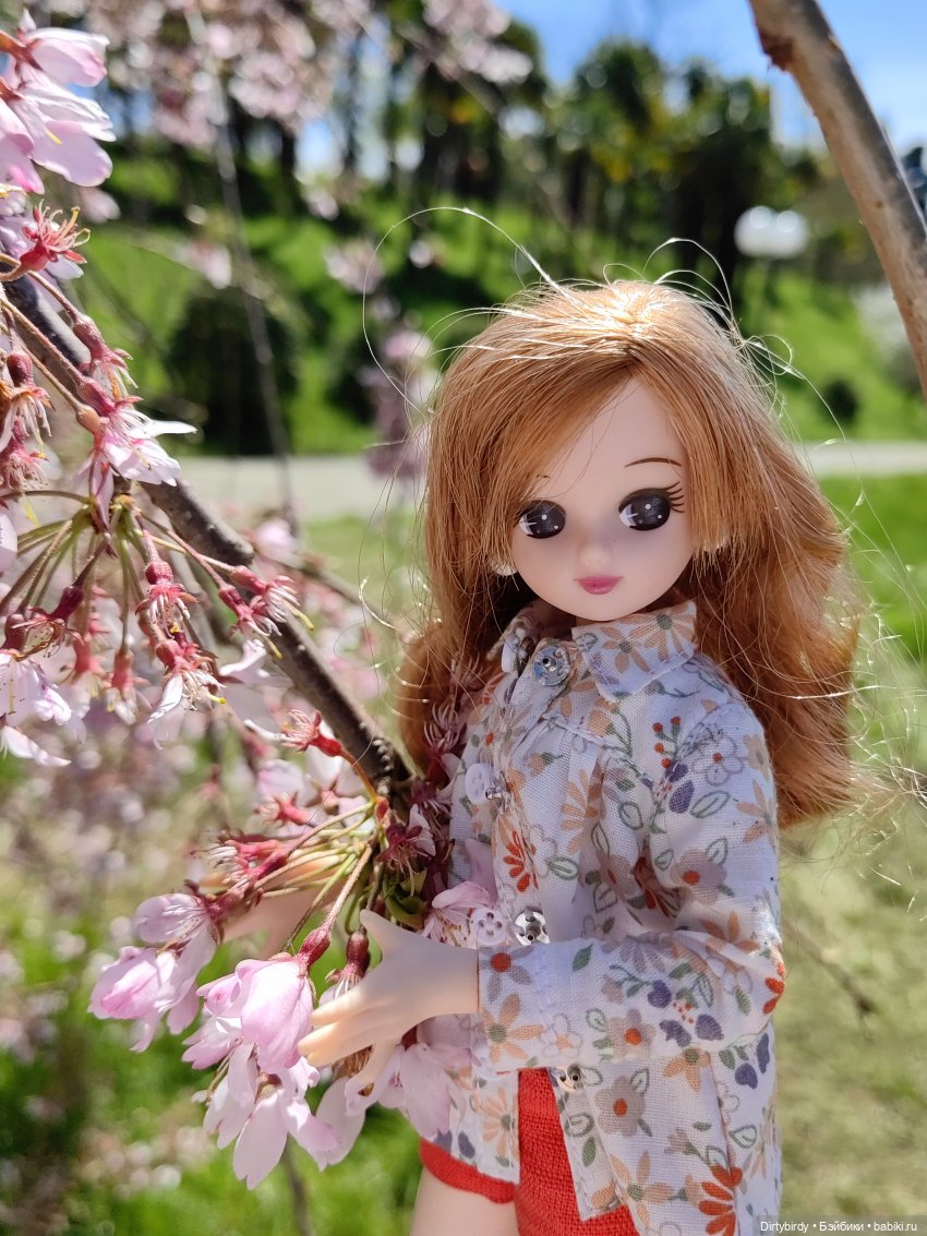 Два кипариса. Или придурки в Сочинском дендрарии (фото 4)