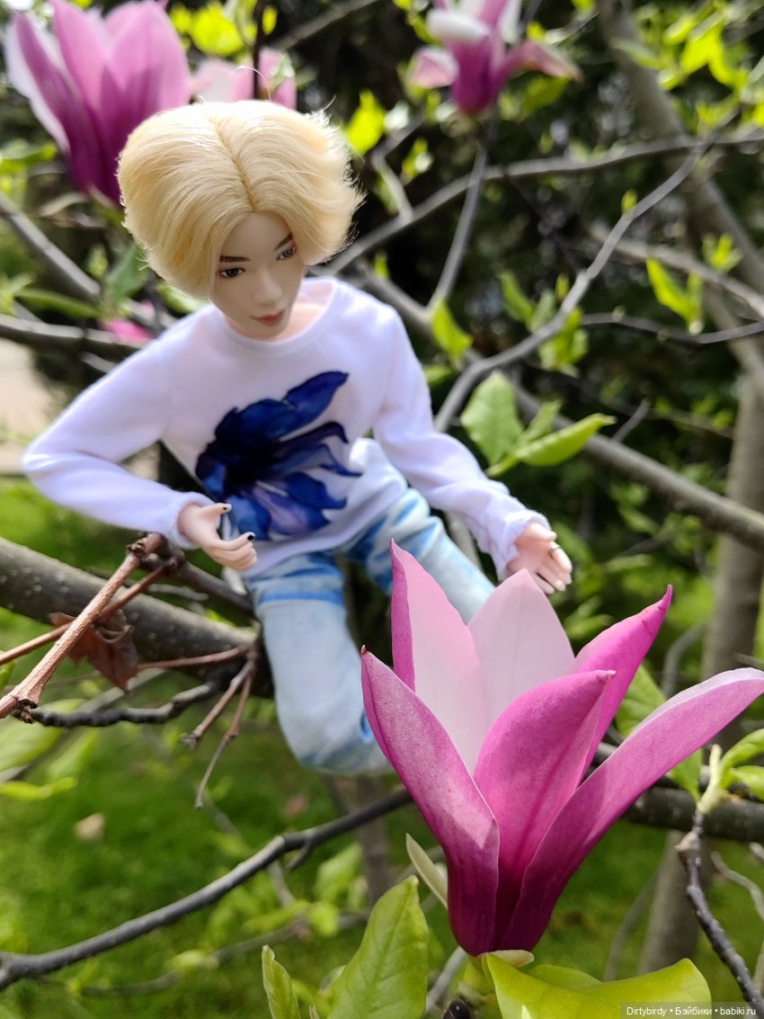 Два кипариса. Или придурки в Сочинском дендрарии