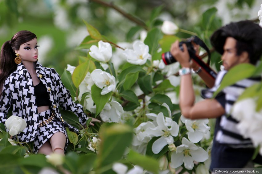 Для кого цветёт Соён — Куклы Integrity Toys (Интегрити): Poppy Parker