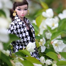 Для кого цветёт Соён?