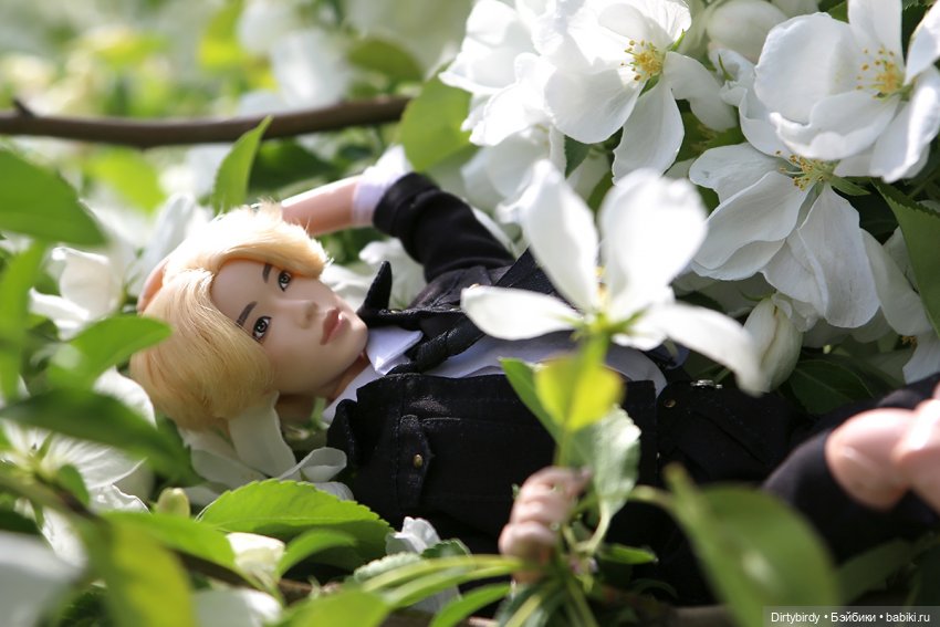 Чтобы всё росло и цвело — Куклы и тела Obitsu (Обитсу): 1/6