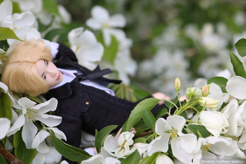 Чтобы всё росло и цвело — Куклы и тела Obitsu (Обитсу): 1/6