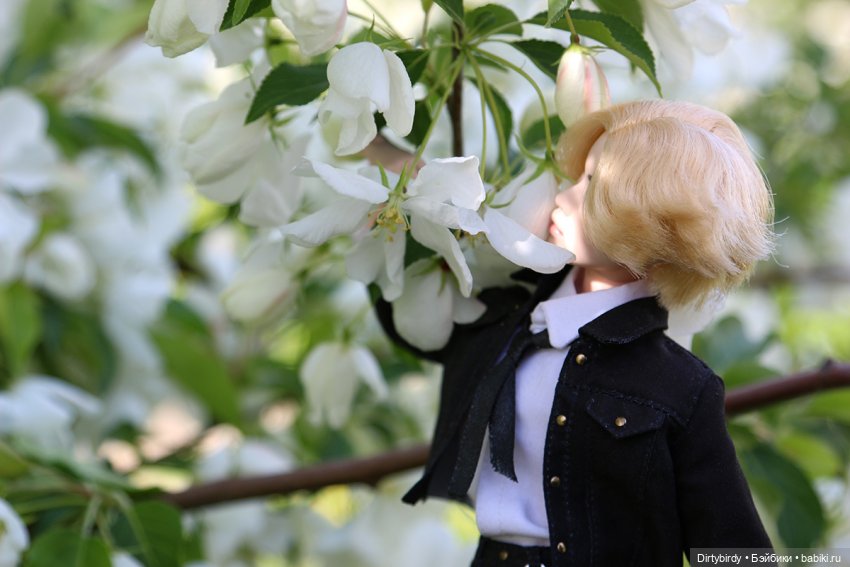 Чтобы всё росло и цвело — Куклы и тела Obitsu (Обитсу): 1/6 (фото 3)