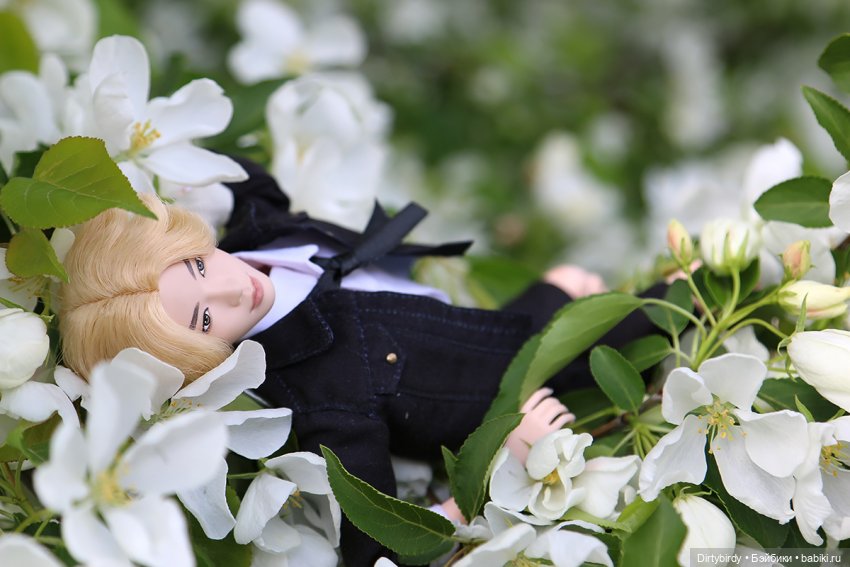 Чтобы всё росло и цвело — Куклы и тела Obitsu (Обитсу): 1/6