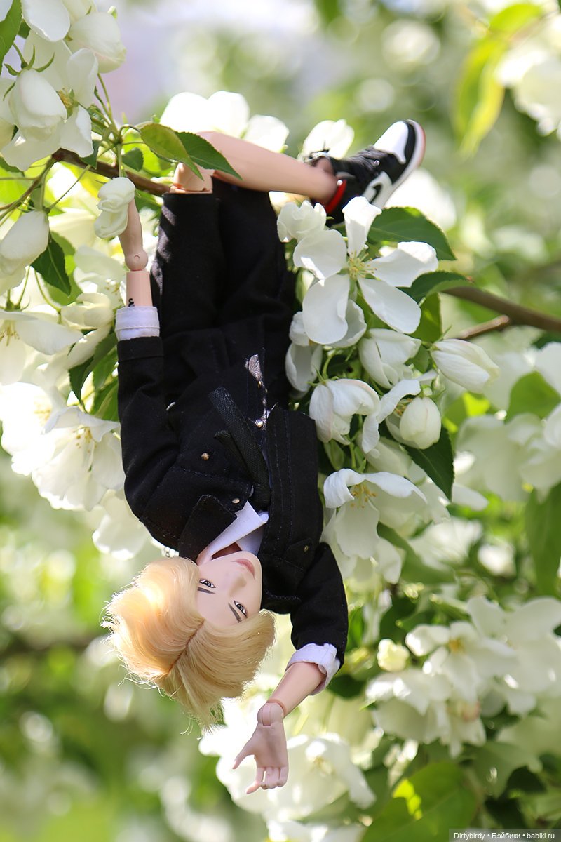 Чтобы всё росло и цвело — Куклы и тела Obitsu (Обитсу): 1/6