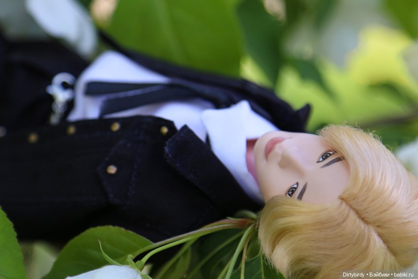 Чтобы всё росло и цвело — Куклы и тела Obitsu (Обитсу): 1/6