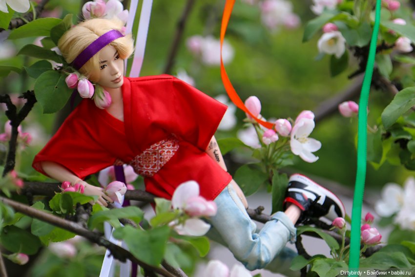 Красивое — Куклы и тела Obitsu (Обитсу): 1/6