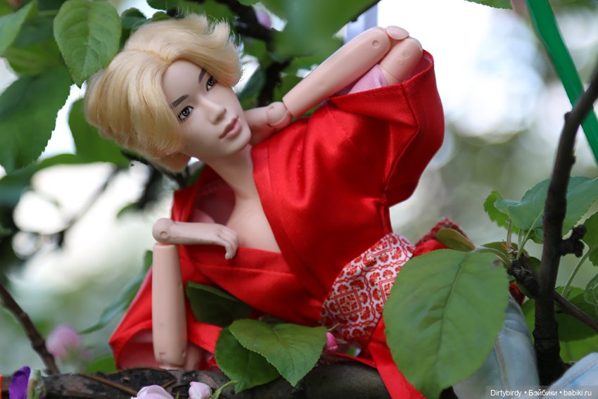 Красивое — Куклы и тела Obitsu (Обитсу): 1/6