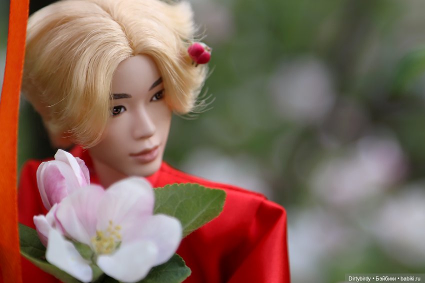 Красивое — Куклы и тела Obitsu (Обитсу): 1/6 (фото 6)