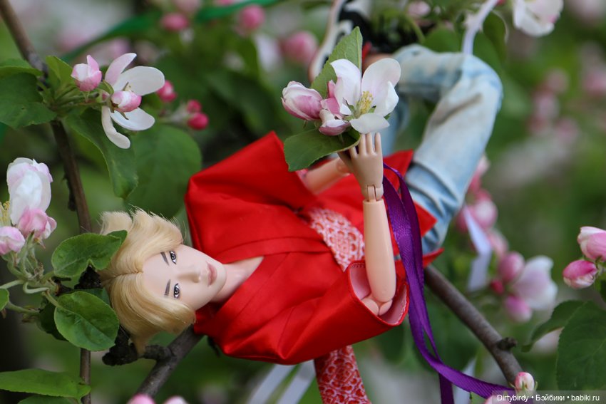 Красивое — Куклы и тела Obitsu (Обитсу): 1/6 (фото 10)