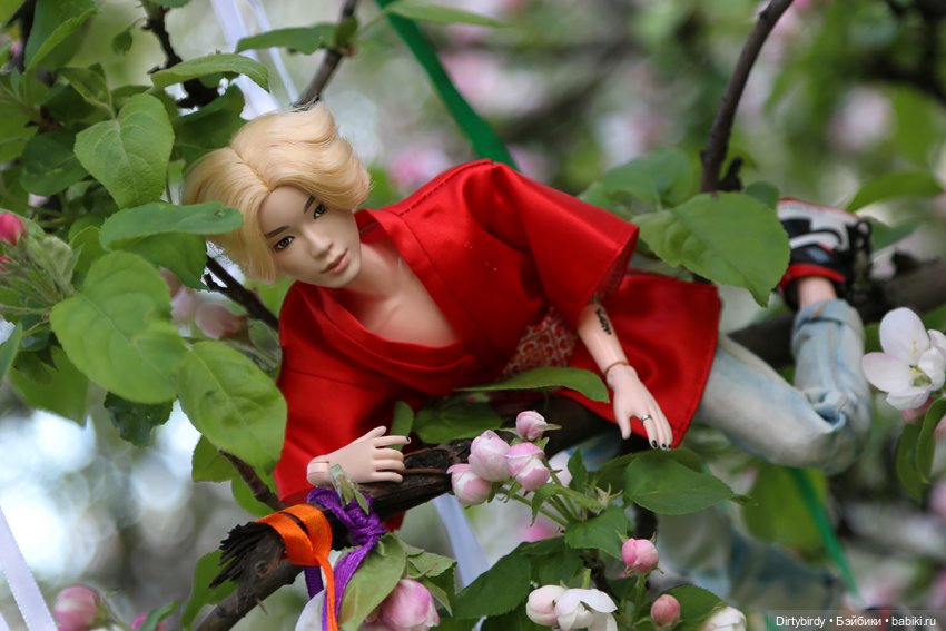 Красивое — Куклы и тела Obitsu (Обитсу): 1/6