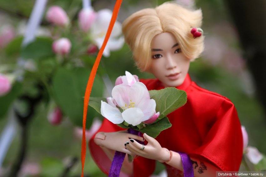 Красивое — Куклы и тела Obitsu (Обитсу): 1/6 (фото 5)