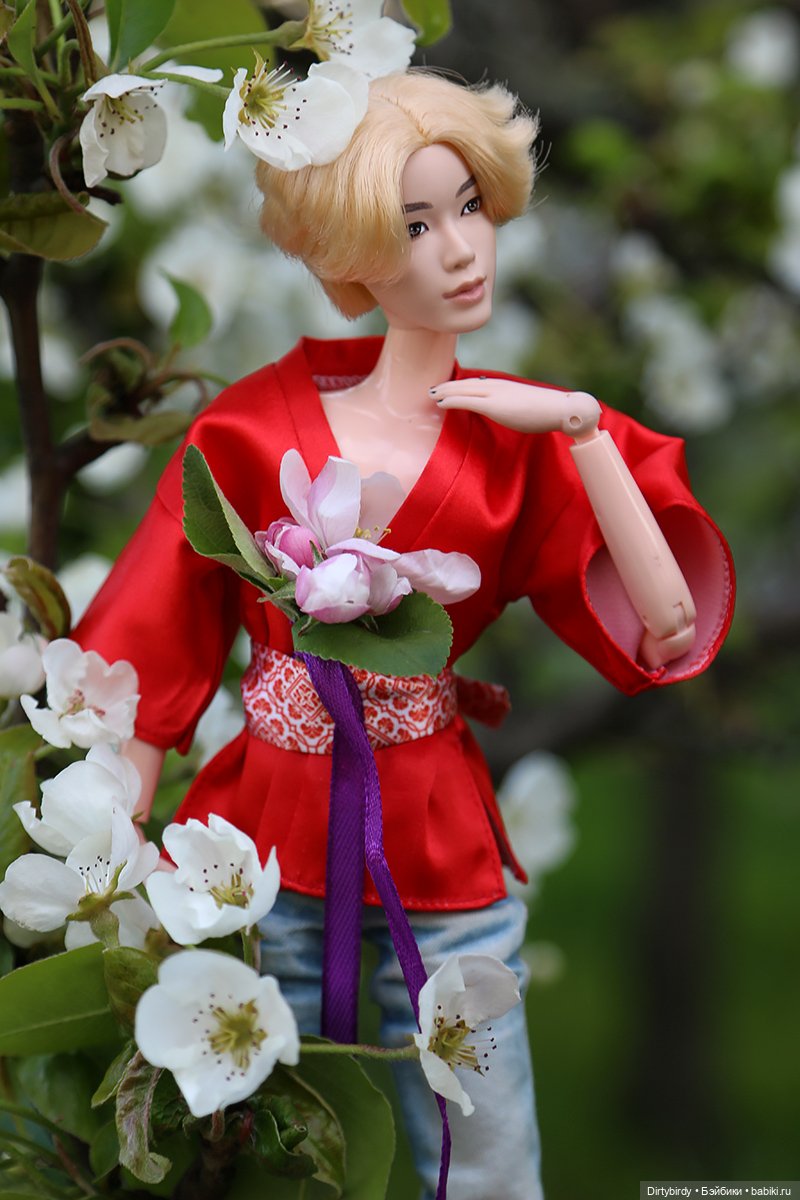 Красивое — Куклы и тела Obitsu (Обитсу): 1/6