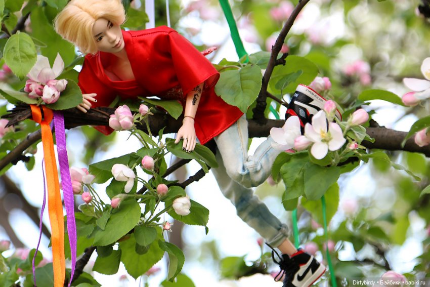 Красивое — Куклы и тела Obitsu (Обитсу): 1/6