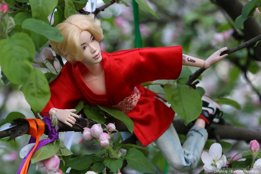 Красивое — Куклы и тела Obitsu (Обитсу): 1/6