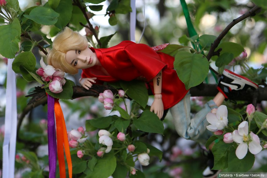 Красивое — Куклы и тела Obitsu (Обитсу): 1/6