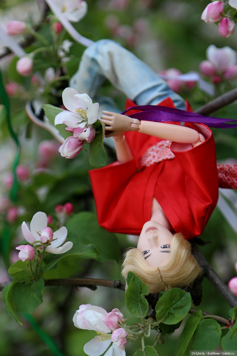 Красивое — Куклы и тела Obitsu (Обитсу): 1/6